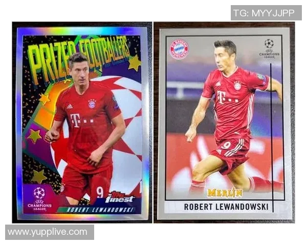 购买足球球星卡的最佳途径与推荐平台详解