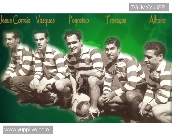 足球百大球星卡片收藏价值及投资潜力深度解析