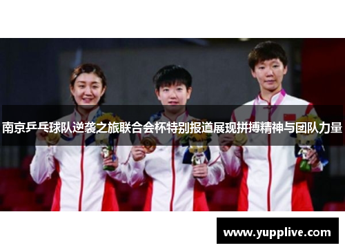 南京乒乓球队逆袭之旅联合会杯特别报道展现拼搏精神与团队力量