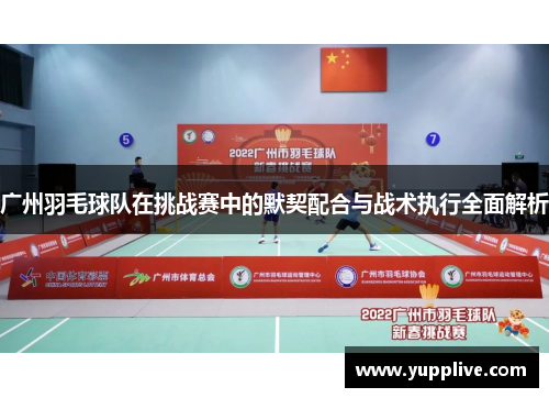 广州羽毛球队在挑战赛中的默契配合与战术执行全面解析