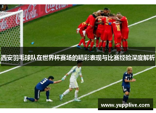 西安羽毛球队在世界杯赛场的精彩表现与比赛经验深度解析