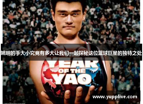 姚明的手大小究竟有多大让我们一起探秘这位篮球巨星的独特之处