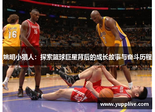 姚明小猎人：探索篮球巨星背后的成长故事与奋斗历程